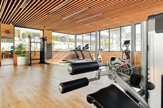 Wall Mounted Mirror Functional Trainer