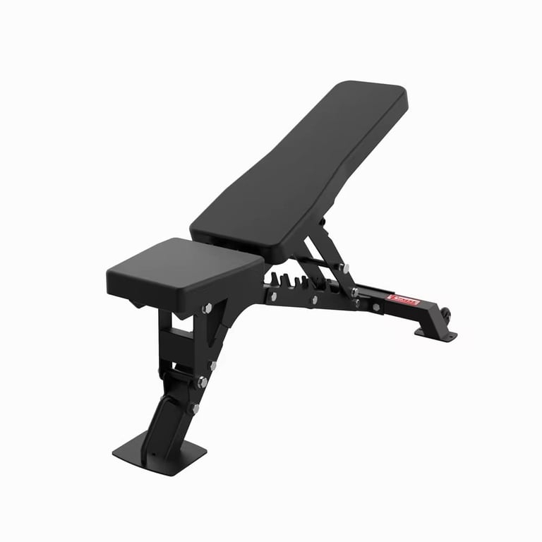Adjustable Dumbbell Bench Press
