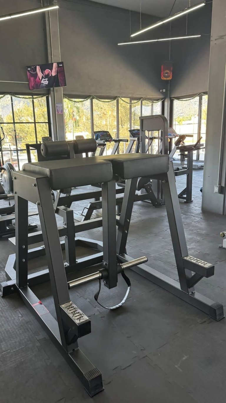 Modern gym interior with black exercise equipment