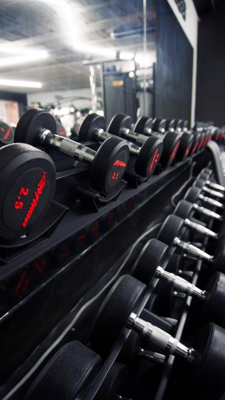 Row of black dumbbells with red weight indicators