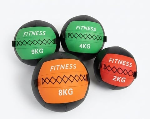 Four colorful medicine balls with different weights labeled 9KG, 4KG, 8KG, and 2KG arranged on a white background